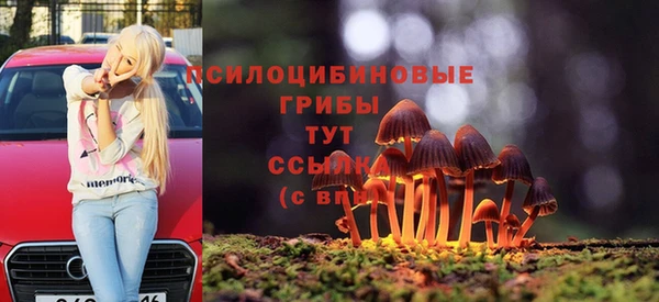 apvp Абаза