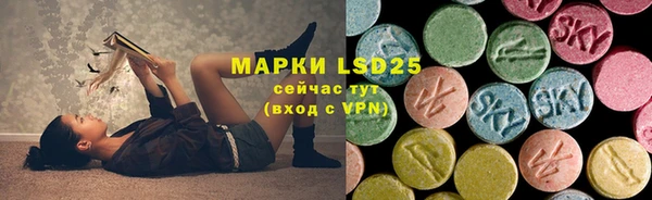 ГАЛЛЮЦИНОГЕННЫЕ ГРИБЫ Абдулино