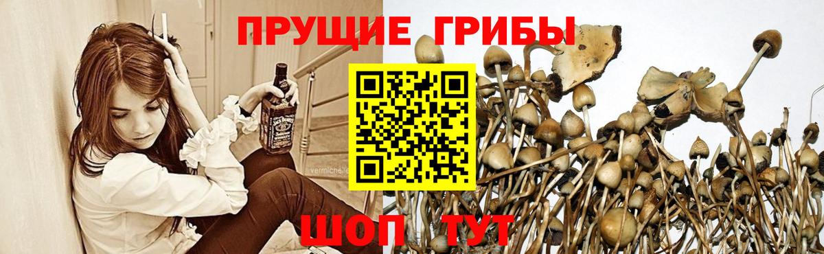 Электросталь  Меф  МЕТАДОН  Меф   ГАШ  МАРИХУАНА  Вход с VPN  Cocaine 