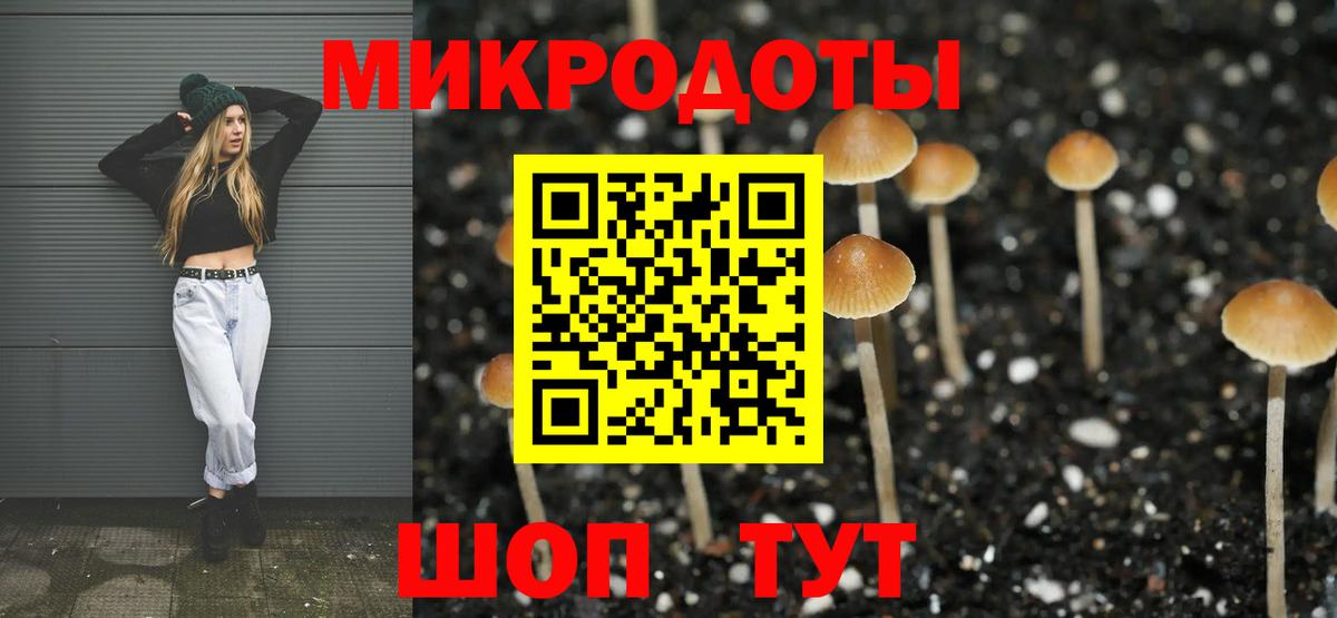 Электросталь  Галлюциногенные грибы Cubensis  Псилоцибиновые грибы мицелий  как найти закладки  Вход с VPN 